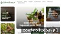 Screenshot strony cbdonline.pl
