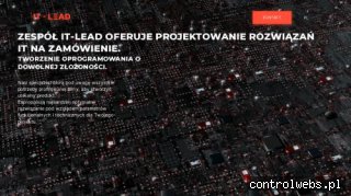 IT-LEAD