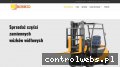 Screenshot strony www.borwid.pl