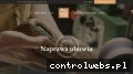 Screenshot strony pogotowieszewskie.pl