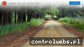 Screenshot strony psychoterapeuta-szadkowska.pl