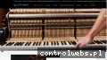 Screenshot strony www.qualitypiano.pl