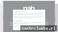 Screenshot strony nah.com.pl