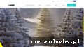 Screenshot strony erbis.com.pl