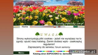 Koty rasowe maine coon norweskie leśne perskie SOPOCISKO hodowle kotów rasowych