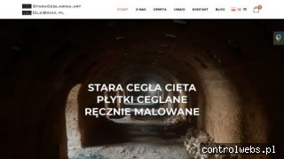 płytki na ścianę staraceglarnia.art