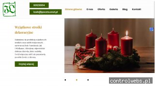 jodła kaukaska choinki-lasik.pl