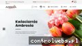 Screenshot strony e-ambrosia.pl