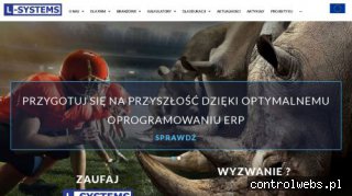 Systemy ERP - Usługi i wdrożenia - L-Systems.pl