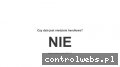 Screenshot strony czyjesthandlowaniedziela.pl