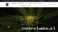 Screenshot strony spokocbd.pl