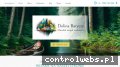 Screenshot strony www.terapia-dolina-baryczy.pl