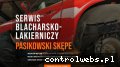 Screenshot strony serwis-blacharsko-lakierniczy.pl