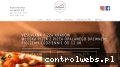 Screenshot strony pizzeriavesuviana.pl