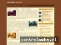 Screenshot strony www.noclegi-zakopane.org