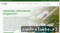 Screenshot strony biogas-system.com