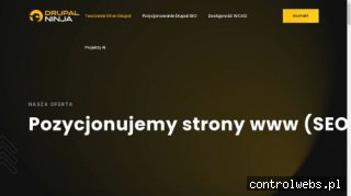 Strony internetowe Drupal Ninja