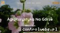 Screenshot strony nocleginagorze.pl
