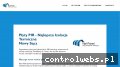 Screenshot strony nalpanel.pl