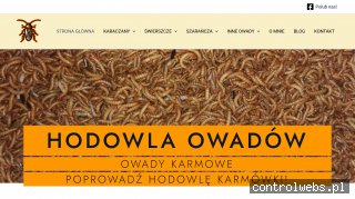 Hodowla owadów