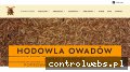 Screenshot strony hodowlaowadow.pl