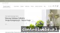 Screenshot strony sklep.kaja-glass.pl