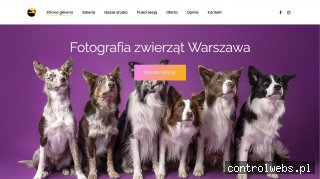 Smiling Pet Studio: Fotograf zwierząt Warszawa
