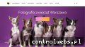Screenshot strony smilingpetstudio.pl