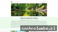 Screenshot strony warta-welna-travel.pl