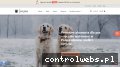 Screenshot strony huka.com.pl