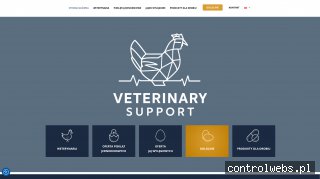 Kurczaki jednodniowe - veterinary-support.pl