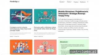 Projektowanie modelu biznesowego - pivotbridge.pl