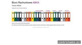 Kapitalna usługa minikoparka