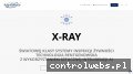 Screenshot strony raymantech.pl