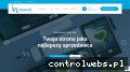 Screenshot strony www.idealsoft.pl