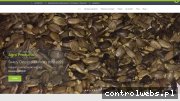 Screenshot strony ostropestpolski.pl