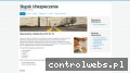 Screenshot strony www.lidag.com.pl