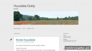Kursy jazdy konnej