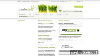 Trawka Studio - Strony www Rzeszów