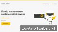 Screenshot strony artdoor.pl
