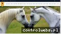 Screenshot strony www.ranchoulinia.pl