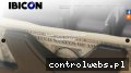 Screenshot strony ibicon.pl