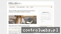 Screenshot strony www.pan-hydraulik.pl