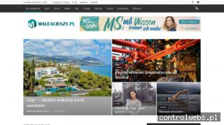 Psy Papillon hodowla Chihuahua