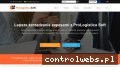 Screenshot strony prologistica.pl