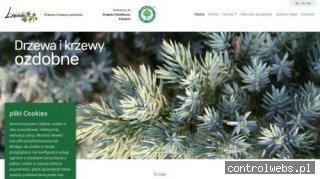 Krzewy ozdobne