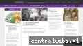 Screenshot strony hopstudio.pl