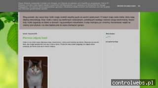 Nasze koty i kotki w domu . Wszystko, co powinniśmy wiedzieć