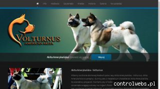 Akita Amerykańska Hodowla VOLTURNUS