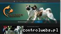 Screenshot strony akita-volturnus.pl